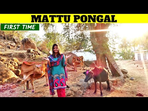 mattu pongal masam mp3